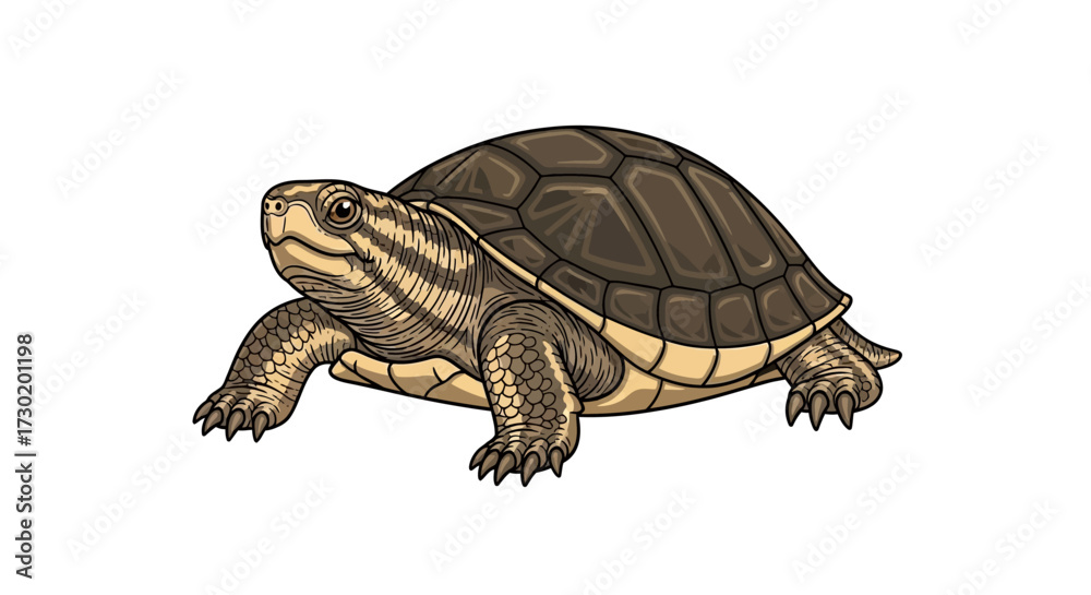 Naklejka premium Curious turtle with intricate shell details explores its environment, embodying patience and resilience