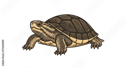 Curious turtle with intricate shell details explores its environment, embodying patience and resilience