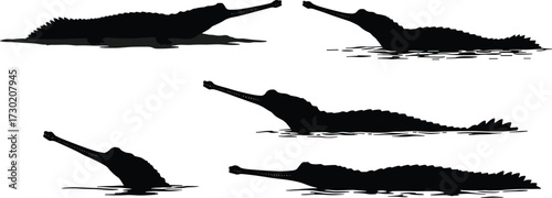 Manta ray silhouettes, flying manta rays, ocean wildlife illustration, surreal sea creatures, underwater animals, vector design, marine life artwork, fantasy nature