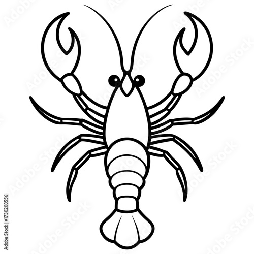crayfish vector illustration