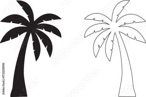 palm tree silhouette