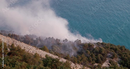 Wild fire smoke rising from forest near coastline, natural disaster affecting environment and landscape
