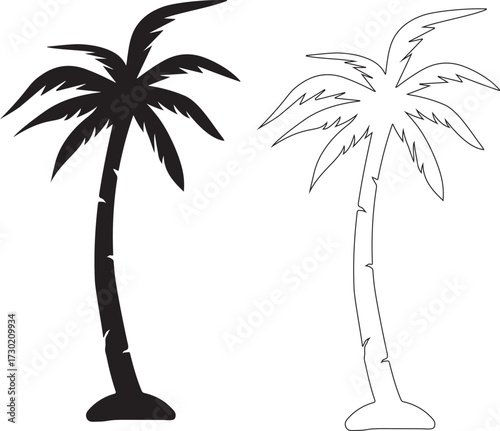 palm tree silhouette