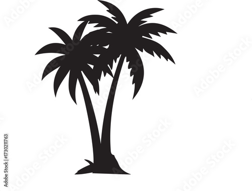 palm tree silhouette
