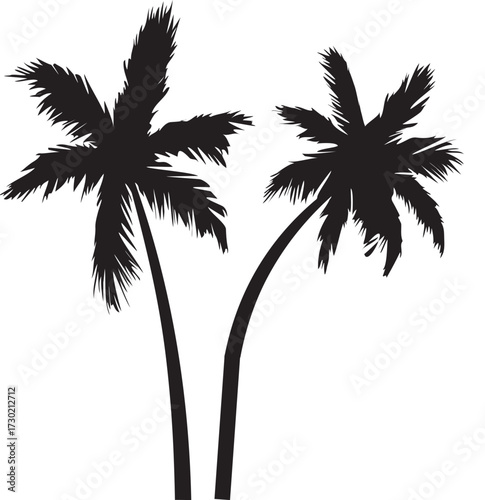 palm tree silhouette