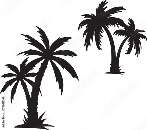 palm tree silhouette