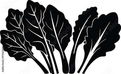 vibrant green leafy vegetables kale silhouette vector illustration