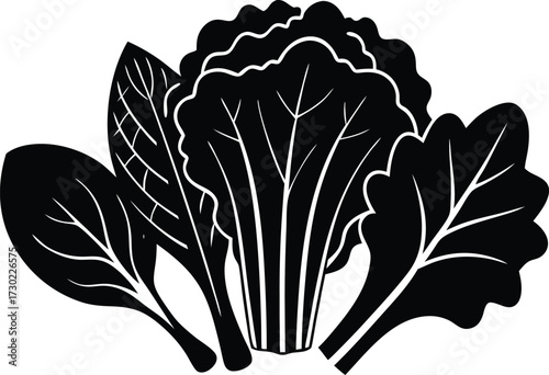 vibrant green leafy vegetables kale silhouette vector