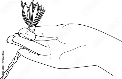 Sketch of hand and horse chestnut seed with string isolated on white background. Illustration to traditional game of conkers.
