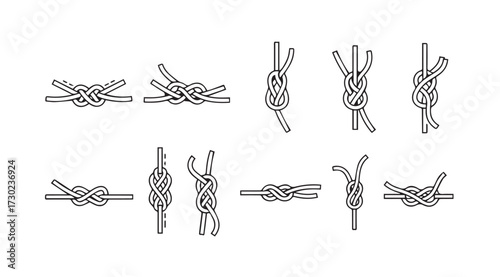 Vector art of knots