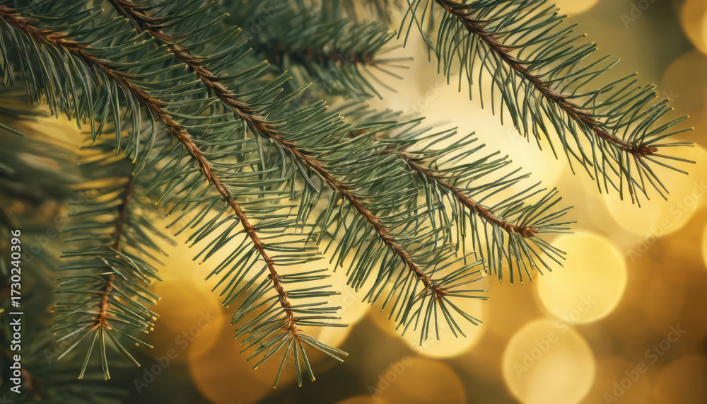 Fototapeta premium christmas tree branches with bokeh