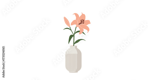 A delicate peach lily blooms gracefully in a simple white vase on a clean white background.