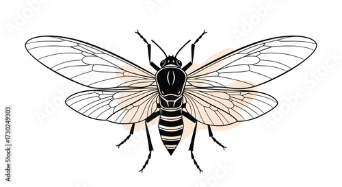 Detailed illustration of a flying insect with transparent wings and segmented body.