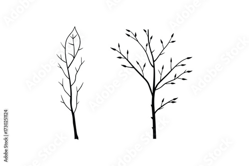 Simple black and white illustration of two delicate bare branches