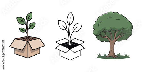 Tree Growing Stages Illustration Seedling to Mature Tree Concept