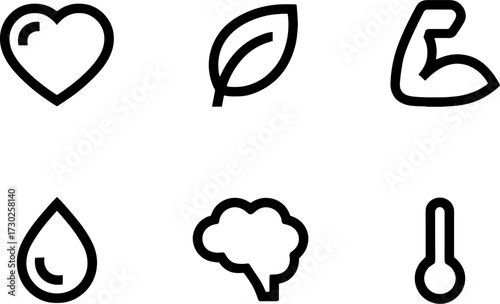 Minimalists Representing Health Nature Fitness and Environment