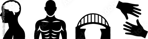Human Brain Muscular Torso Bridge and Hands Silhouettess for Education and Anatomy Design