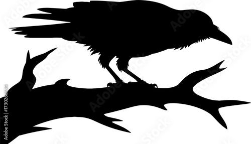 Silhouette of Raven Perched on Tree Branch Vector Illustration for Tattoo Design and Coloring Book