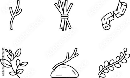 Minimalist Forest Elements Branch Leaves Wood Twig Stones Nature Outline for Coloring Book Design