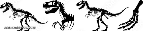 Dinosaur Skeleton Vector Art of T-Rex for Educational and Creative Use