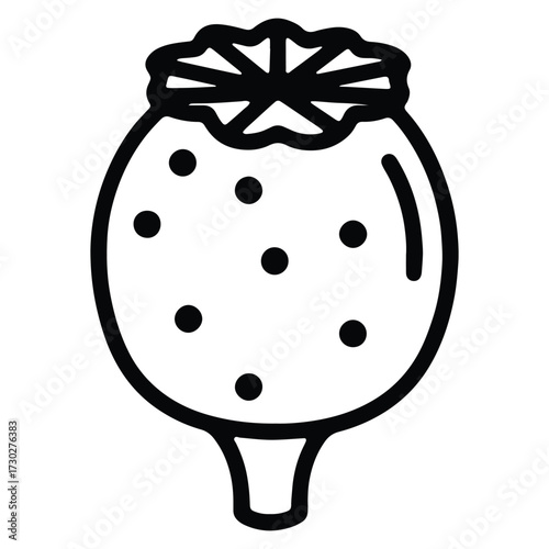 Poppy Seed Pod Outline Vector Illustration Isolated on White Background