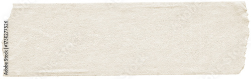 Wallpaper Mural crumpled paper Pieces of  PapeR paper tears  Old wrinkled torn vintage paper texture Torontodigital.ca