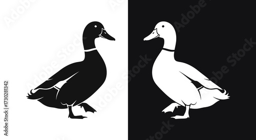 A graphic illustration of two ducks, one black on a white background and its negative image, a white duck on a black background.