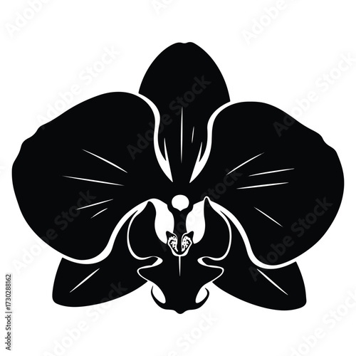 Elegant Black and White Orchid Flower Illustration Detailed Vector Graphic