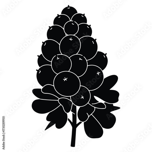 Elegant Rowan Berry Cluster Silhouette Symbol of Autumn Harvest and Abundance