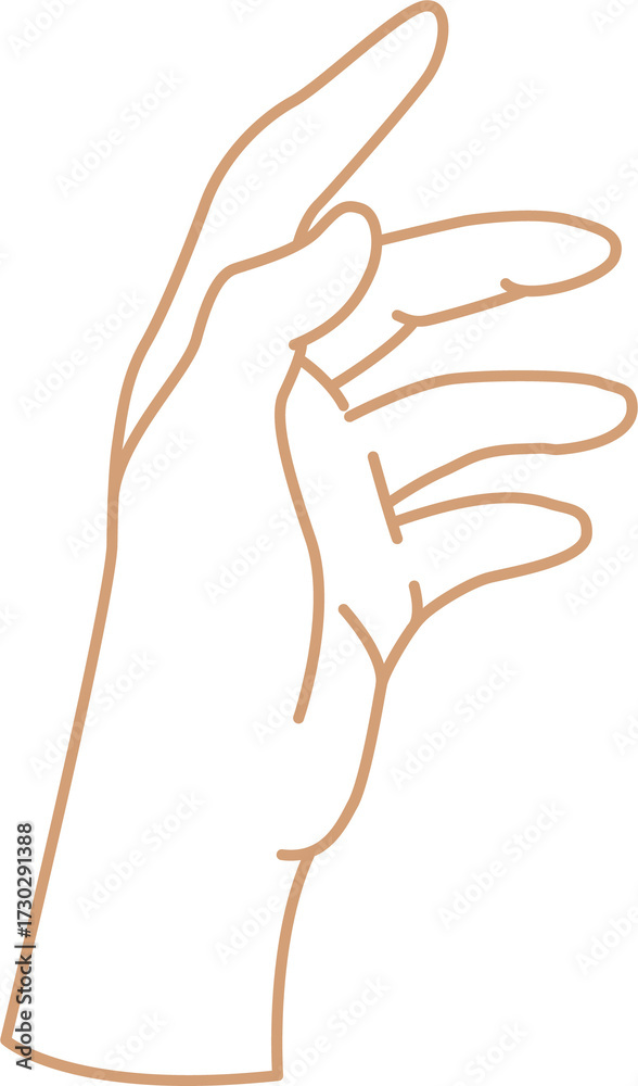 Fototapeta premium Outlined Hand Gesture Reaching Upward Isolated on Transparent Background