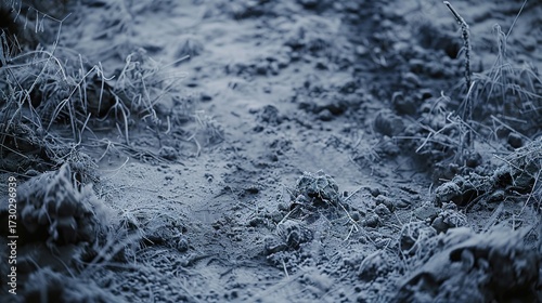 Frozen Soil in a winter landscape, covered with a light layer of snow, surrounded by bare trees and a crisp cold sky. The scene shows hard, icy ground, frost on the soil surface