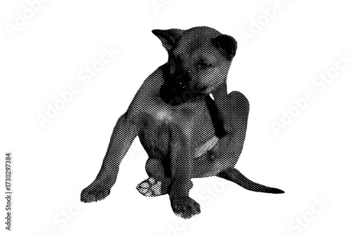 A cute black Labrador puppy and a Great Dane puppy are isolated canine pets on a white background.