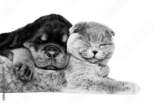 A cute, adorable brown puppy lying down with a cat on the floor.