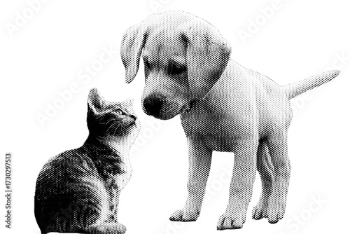 A cute, isolated Labrador retriever puppy is sitting on a white background.