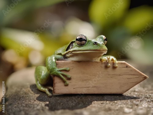 Close-up of a green frog resting on a wooden arrow sign