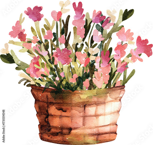 bunch of flowers. A bunch of lavender flowers are tied together with a rope. bouquet made of Alstroemeria, Gerber, Rose and Chrysanthemum fl Springtime flowers bunch with tulips and cherry blossom.