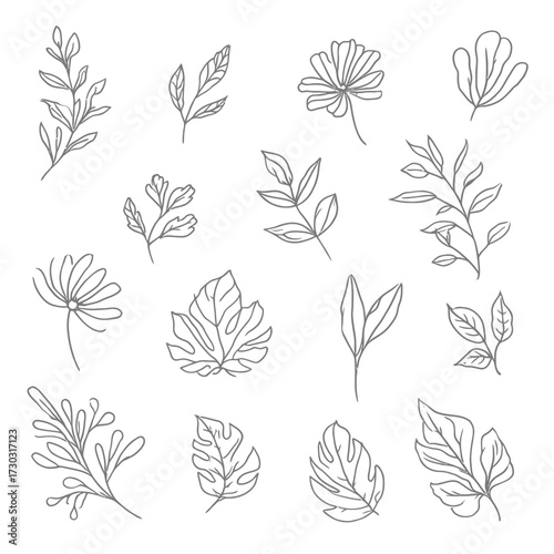 Set of minimalist floral line art simple botanical vector elements for design isolated on white background