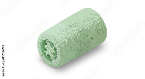 Single Loofah Sponge Natural Texture Exfoliating Bath Accessory Illustration
