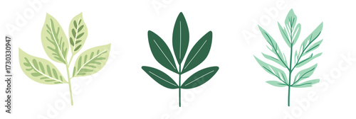 Set of three flat minimalist vector illustrations of green leaves with different shapes and shades in cartoon style isolated on white background for nature design projects