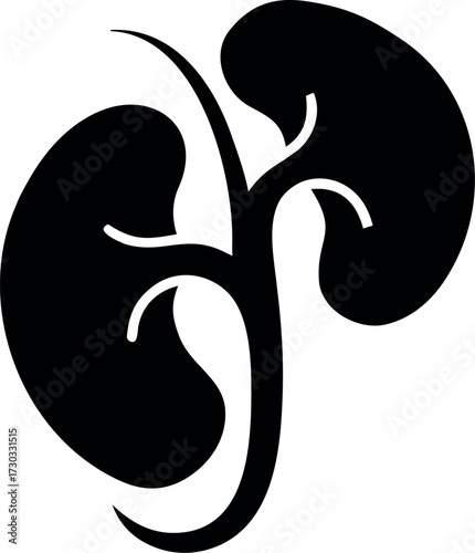 Human kidney silhouette icon vector illustration on transparent background