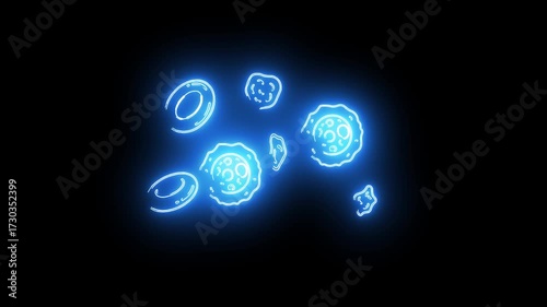 Wallpaper Mural X-Ray Red White Blood Cells Torontodigital.ca