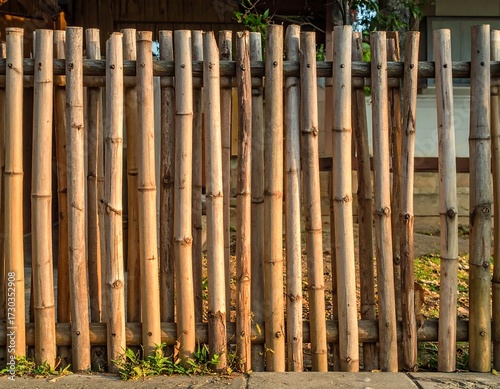 Rustic Bamboo Fence in Sunlight.