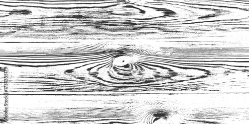 close-up view of rough black and white wood grain texture with horizontal lines and knot.  White natural wood wall texture and background. Detailed macro view of felled tree trunk or stump.