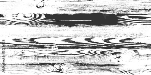 Wooden texture background of black and white timber pattern of table, wall or floor surface. White natural wood wall texture and background. Detailed macro view of felled tree trunk or stump.