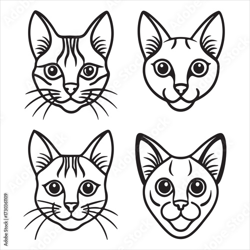 An Elegant and Svelte Balinese Cat, a Silky Coat Longhair Siamese Like Breed with Striking Blue Eyes and a Vocal Temperament, a Graceful Feline Companion