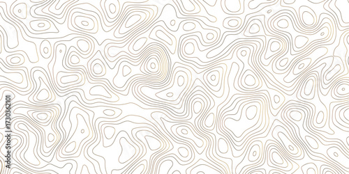 Topographic map pattern background vector. Abstract mountain terrain map background with abstract shape line texture. Vector illustration. Abstract contours form digital landscape