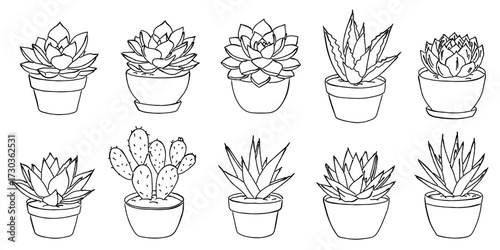 多肉植物とサボテンの線画セット,鉢植えのボタニカルイラスト