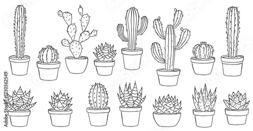 サボテンと多肉植物の線画コレクション,鉢植えのモノクロボタニカルイラスト