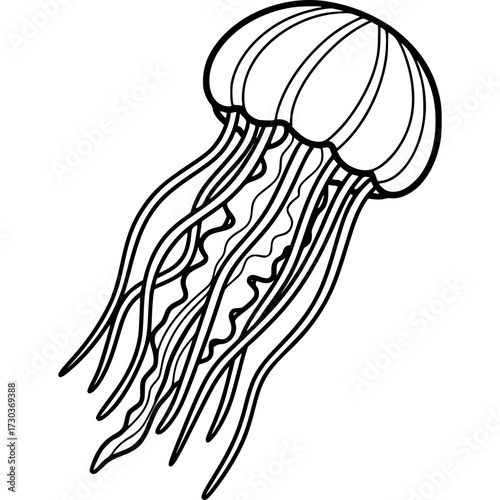 Jellyfish Outline: The graceful jellyfish glides effortlessly through the depths of the ocean, its ethereal form and delicate tentacles captivating the viewer in its simple form.