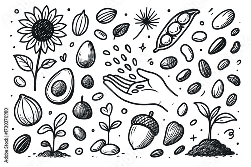 Hand holding seeds with various plants and nuts in whimsical black and white design